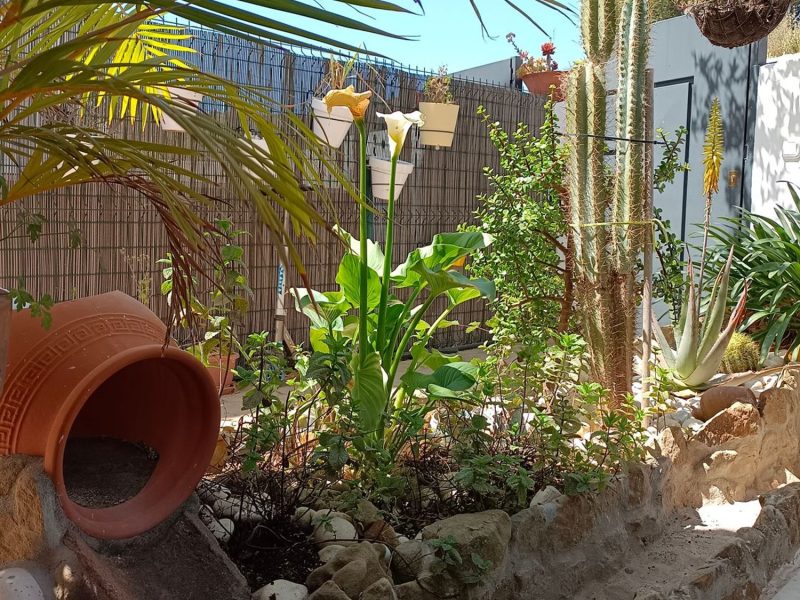 Villa te koop in Playa Bahía Dorada, Estepona, Málaga (Spanje)