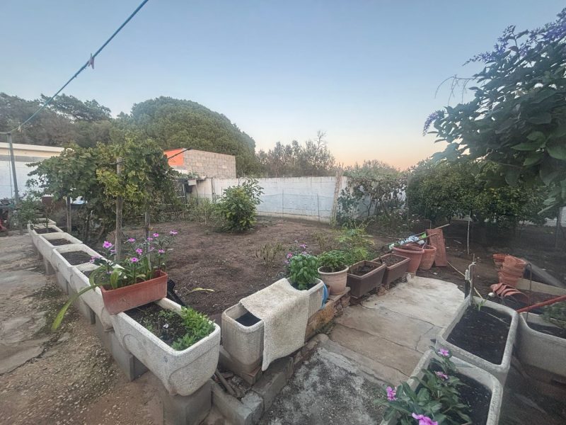 Villa para venda em Las Chapas-El Rosario, Marbella, Málaga (Espanha)